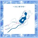 창경궁 야간개장 물빛연화 후기 ｜예약 없이 즐기는 미디어아트 밤산책
