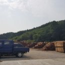 원무동길2 이미지