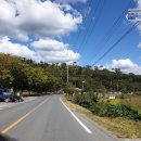 금마진미식당 이미지