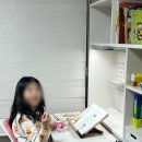 일룸 로이모노책상 내돈내산후기(vs컴프프로)