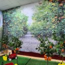 중원유치원 이미지