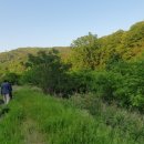 인계2진입로 이미지