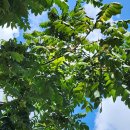 기아대교 이미지