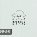 펫살롱 이미지