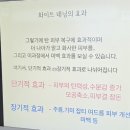 브론즈가든