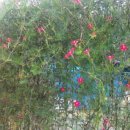 한별농장 이미지