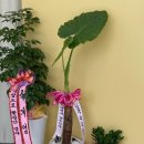 네일블리 이미지