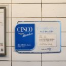 마린슐레 이미지