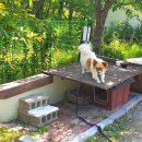 경포별빛연가 이미지