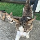 위드안면도 | [태안 안면도 가성비 숙소] 위드유 펜션 감성 숙소추천 태안여행 내돈내산 솔직후기