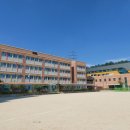송안초등학교 네이버블로그