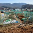 삼송농장 티스토리