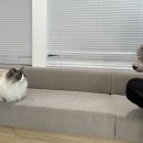 새봄동물병원 이미지