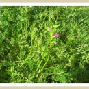 북천생태공원 이미지