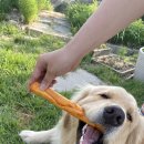 이천촌캉스 이미지