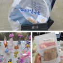 싱포밀 | 2025 펫쇼코리아 일산 서울펫쇼 후기 - 관람료가 40분에 30만원!