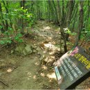 제519차정기산행 가평 연인산1,068m (26. 05. 16) 이미지