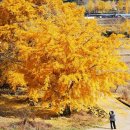 황금마을 이미지