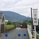 구촌리 285 | 청도 풀빌라 독채펜션 구촌리 285 프라이빗한 키즈 수영장 청도 감성 숙소 추천