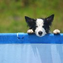 원반농장 이미지