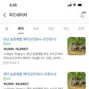 자작나무관광농원 이미지