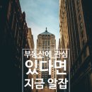 주식회사미래부동산중개강남 이미지