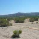 토끼사냥 이미지