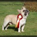 라온제나 이미지