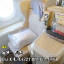 수비즈니스 | 미국 뉴욕 항공권 뉴욕에서 인천 아시아나 OZ221 비즈니스 후기