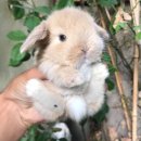 주간요가 이미지