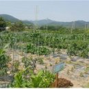 산계농장 이미지