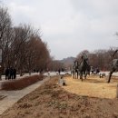 2023년 3월1일, 서울숲에 가다. 돋아난 수선화와 튜립 싹들 이미지