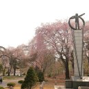 설울 이미지