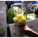 조금남다른리어카