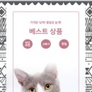 위드몽 이미지