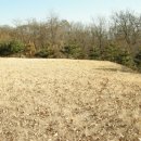 한울목장3 이미지