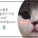 크로바 펜션 이미지