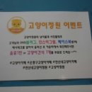 고양이정원 이미지