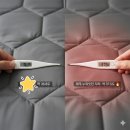 평화전기 | 두계절 반반 전기장판 퀸사이즈, 분리난방 전기매트 후기