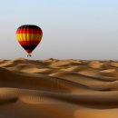 원메디팜 이미지