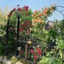 고운뜰길 이미지