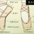 토슈즈 이미지