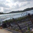 갈기산농장 이미지