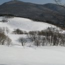 대관령목장 이미지