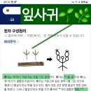 블루문타임 Daum카페