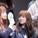 꽁냥꽁냥 이미지