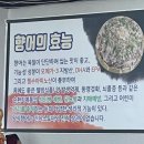 향어마을 이미지