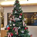 튜닝닭발 | 동탄 쿠우쿠우 초밥뷔페 가격 주말방문 후기