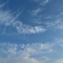 평해처갓집양념통닭 이미지