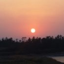 바라본바다